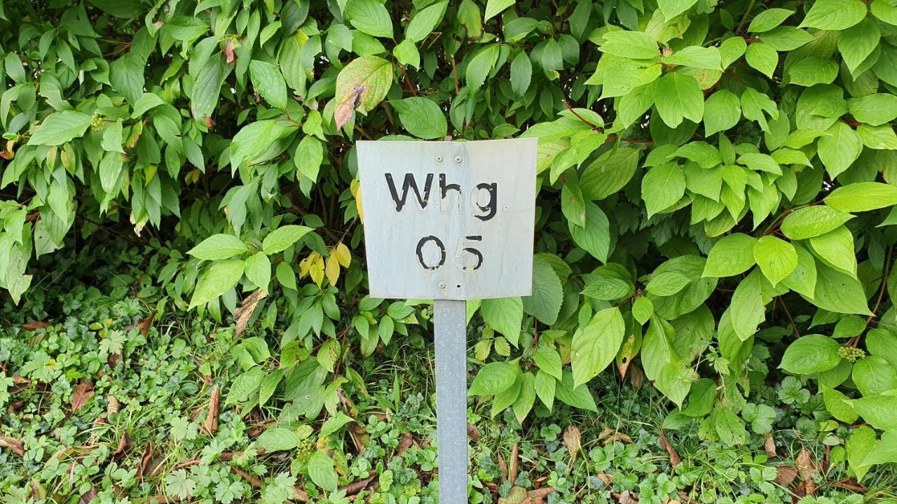 Ferienwohnung Fuer 5 Personen In Wasserburg Exterior photo